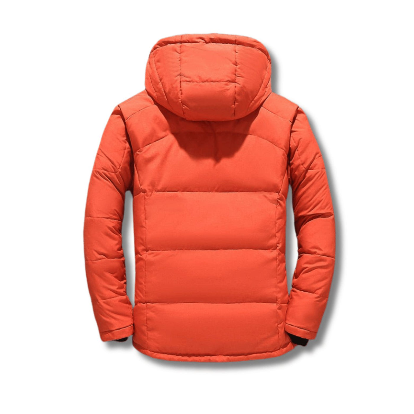 Winter Jacket - Belisimo